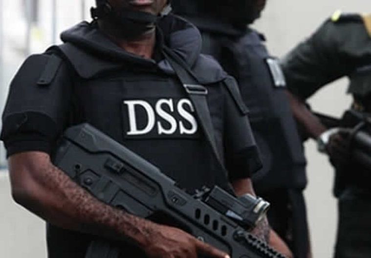 dss 768x529